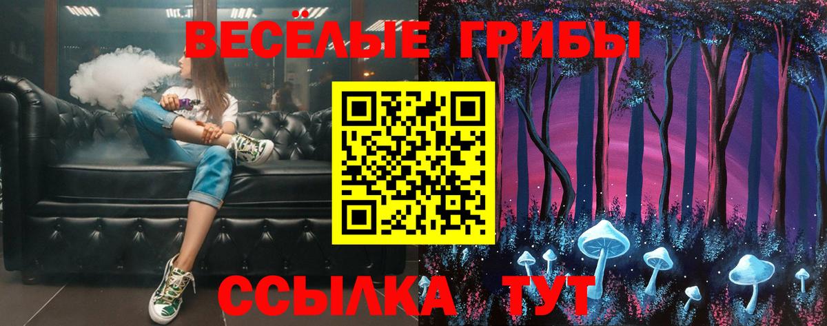 Псилоцибиновые грибы прущие грибы  Вход с VPN  Дедовск 