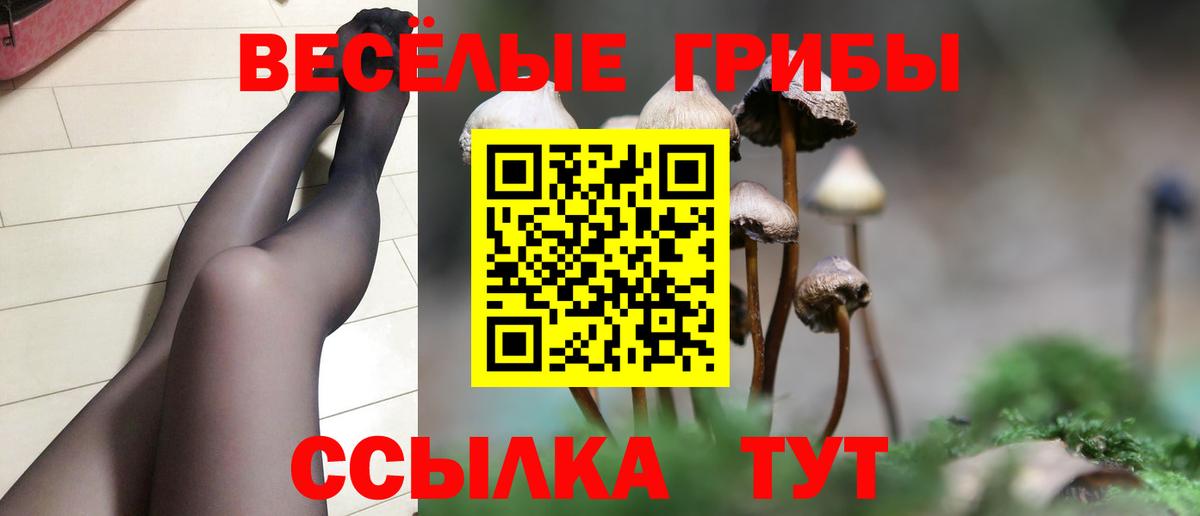 Псилоцибиновые грибы Magic Shrooms Дедовск